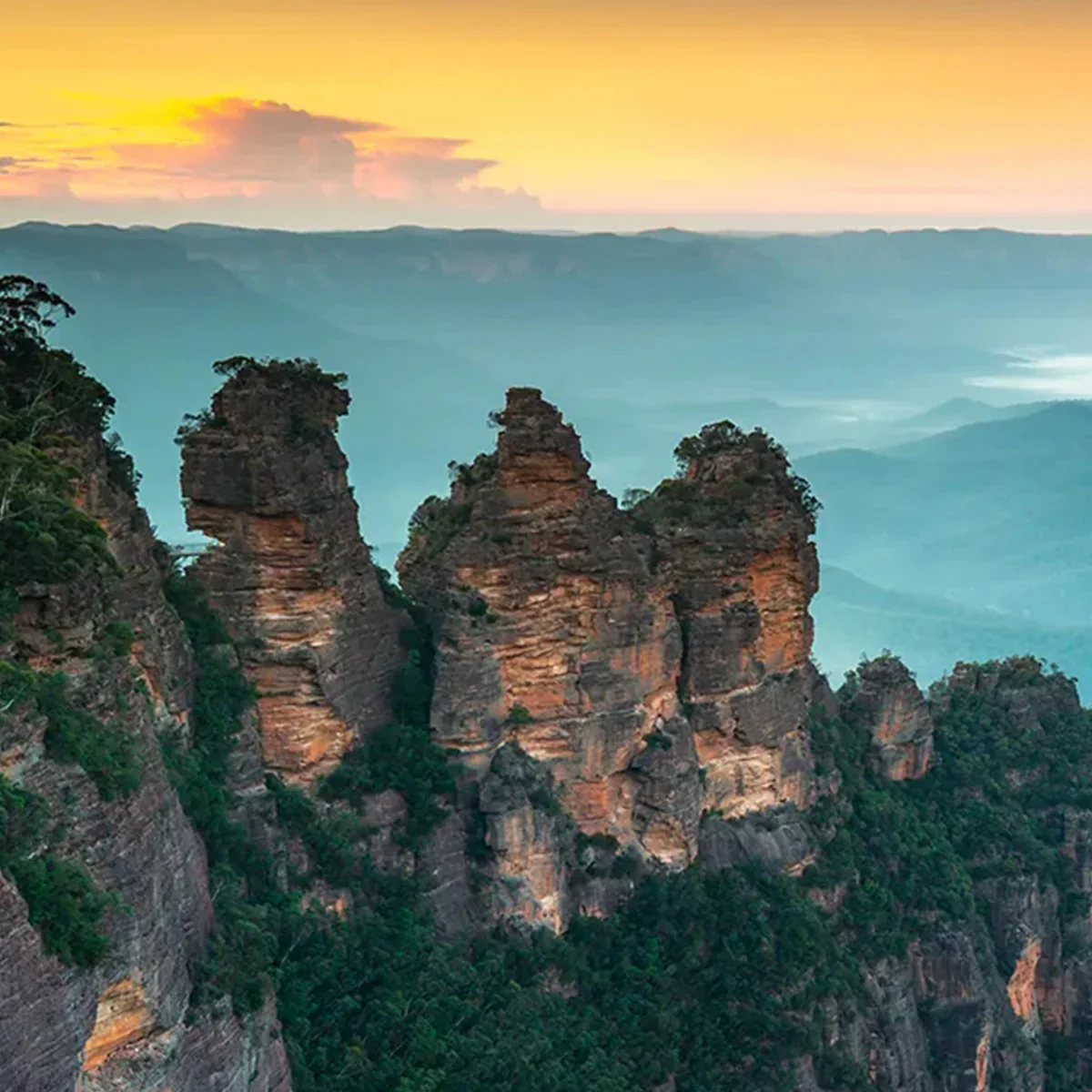 FRAGRANCE MEMORIES Incense Eucalyptus Mountains - Image 5