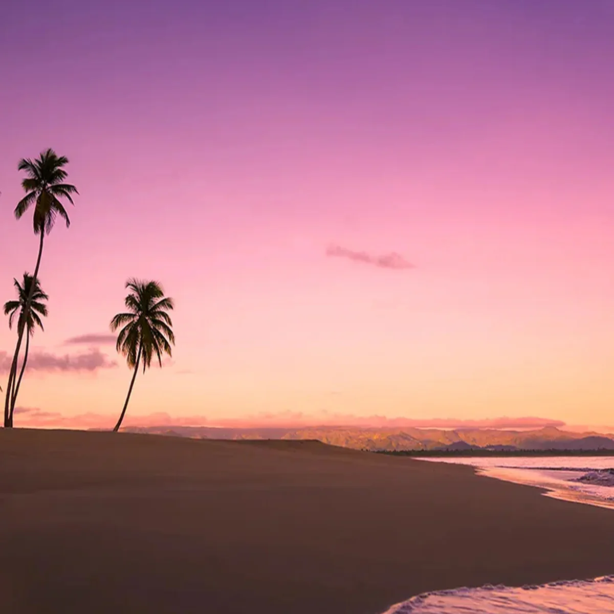FRAGRANCE MEMORIES Incense Hawaii Sunset - Image 5