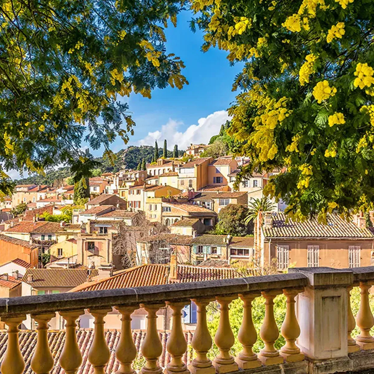 FRAGRANCE MEMORIES Incense Provence Mimosa - Image 5