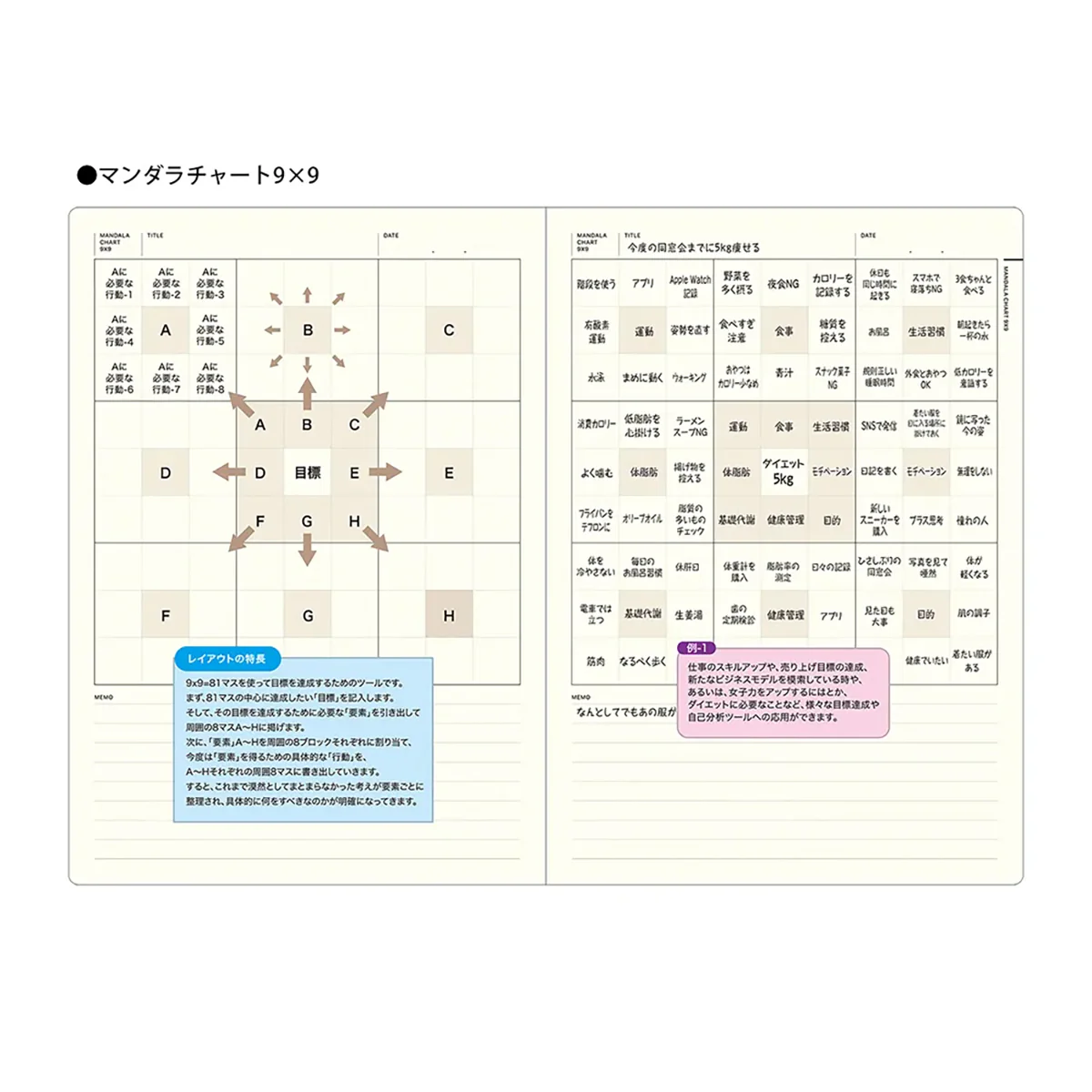 LACONIC Style Notebook - Image 12